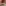new product image 2